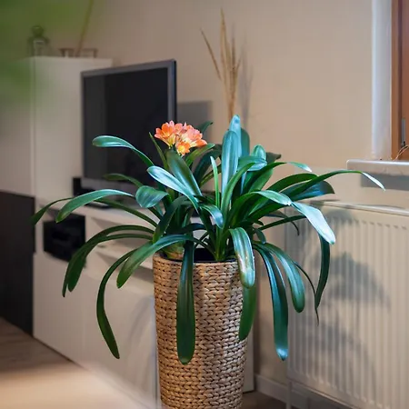 Am Hoepen Апартаменты *