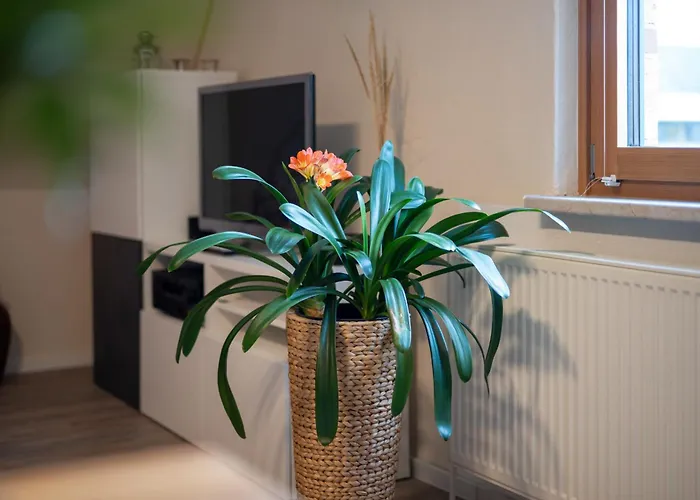 Am Hoepen Διαμέρισμα *